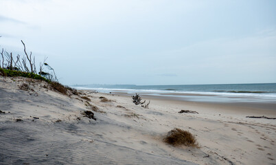 Beach at Fort Bribie on Bribie Island, Queensland, Australia. Sand dunes and ocean with horizon.