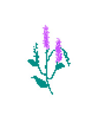 픽셀_라벤더
pixel_lavender
