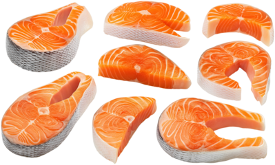 set of fresh salmon fillets, cut out