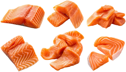 set of fresh salmon fillets, cut out