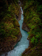 River in the woods