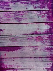 Purple or violet burgundy wooden background. Close-up wall or floor wooden plank panel or board as...