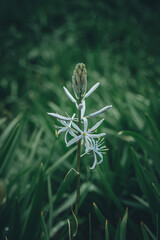 공원에서 보이는 풍경