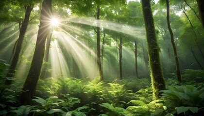 Sunlight filtering through the canopy of a lush gr upscaled 6