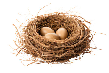 The image shows a bird's nest made of twigs with three brown eggs inside it.
