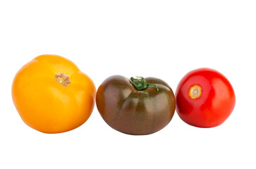 Tomatoes of different breed