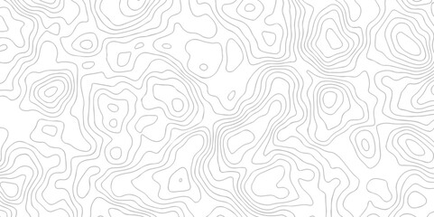 Black and white topography contour lines map isolated on white background. The stylized height of the topographic map contour in lines and contours isolated on transparent. topography line map.