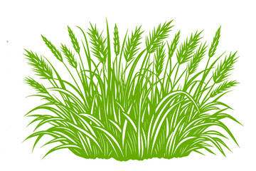 Grass silhouette