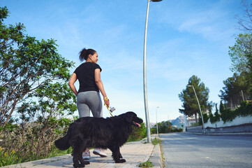 Rear view of a young active woman walking her dog on leash in the nature on a beautiful sunny...