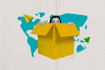 Composite collage picture image of funny female hide carton box world shipping unusual fantasy...