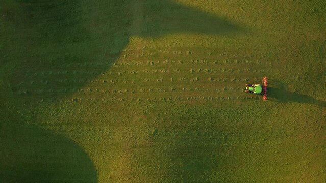 AERIAL, TOP DOWN: Farmer turning over mowed hay with tractor on autumn morning. Farmer using hay tedder to aerate and speed up drying grass in golden light. Preparing fodder for cows in fall season.