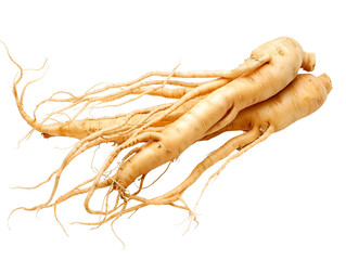 Ginseng Roots Isolated on White Background for Herbal Medicine Supplements and Skincare Products
