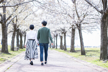 Fototapeta premium 桜並木の下を歩く男女