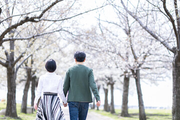 桜並木の下を歩く男女