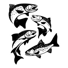 Colorful Rainbow Trout Fish Vector Illustration set: Perfect for Fishing Enthusiasts