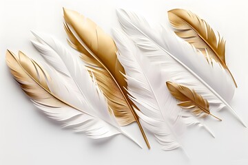 Wallpaper illustration feather wall
