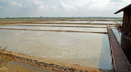 huge salt fields near kampot