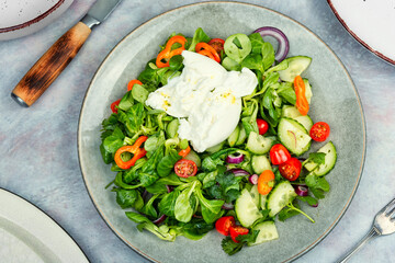 Salad of vegetables and milk Burrata cheese.