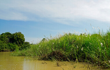 scenic landscape at the tonle sap river
