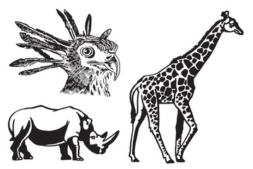 Graphical set of animals on white background, vector illustration