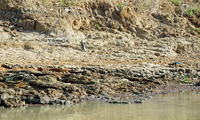 scenic landscape at the tonle sap river