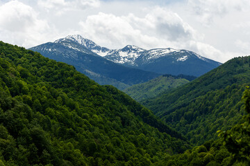 Fototapeta premium Snowy peaks of Retezat Mountains in Transylvania, Romania, seen from a hill top 