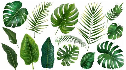 Leaves from tropical plants in modern format