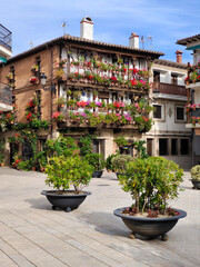Flowers in the street