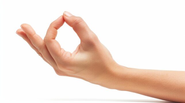 A yogic hand gesture on a white background with the name Dhyana mudra beneath.