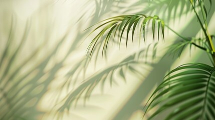 Summer Vibes Background with Palm Leaf Shadows Generative AI
