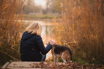 old beagle dog sitting next to a lake with a woman in a park in autumn seen from the back