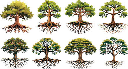 Vector illustration of set of cartoon tree with roots

