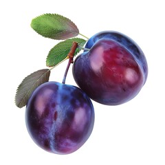 Two ripe plums with leaves isolated on white background.