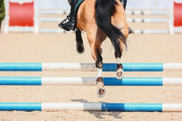 The hind shod hooves of a buckskin pony that has just jumped over the high hurdle. Pony jumping....