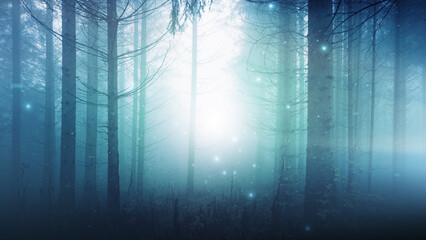 Mysterious foggy light in turquoise fairy tale woods with artistic fireflies. 