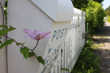 a mailbox in a summer cottage