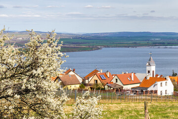 The Pavlov village with vineyards above the Nove Mlyny reservoir in South Moravia, Czech Republic,...