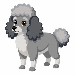 Cartoon illustration of a gray poodle on a white background