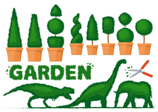 Taille haie, art topiaire, cisaille, jardin