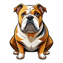 Brown and white Bulldog sitting and facing camera, a fawn companion dog