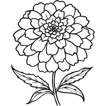 recommend clip art: Marigold Flower outline illustration coloring book page design, Marigold Flower Bouquet black and white line art drawing coloring book pages for children and adults
                    