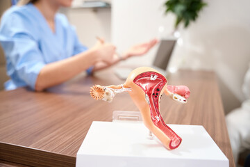 Focus of uterus model with blurred background of partial gynecologist and couple
