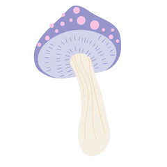 mushroom vector cartoon illustration
