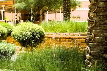 garden with rounded bushes in heritage village