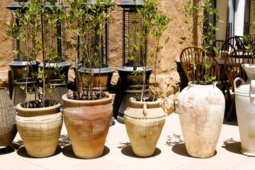 pots in sun light in arabic garden
