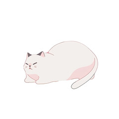 An illustration of a chubby white cat