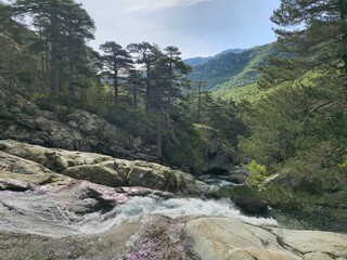 Cascades des Anglais, Vizzavona en Corse