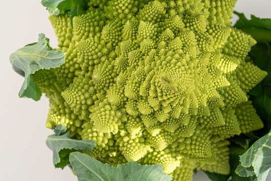 Romanesco broccoli (also known as broccolo romanesco, romanesque cauliflower, or simply romanesco) 