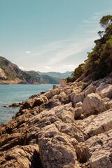 Bord de mer rocailleux de l'île de Lokrum, Dubrovnik