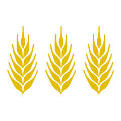 Wheat ear icon vector